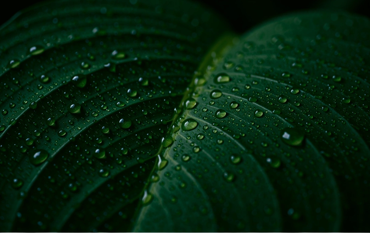 Biologische Rhythmen